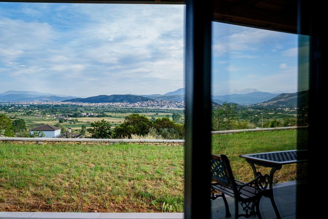Villa de Vino Ioánina Exterior foto
